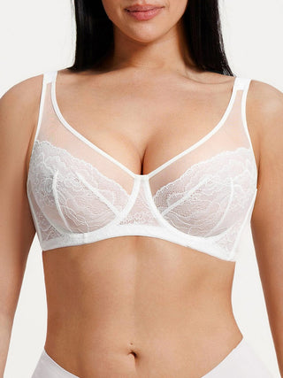 Sheer Lace Plunge Bra